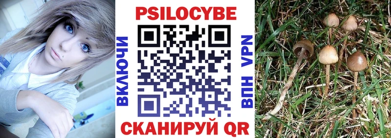 Купить где  Руза  Псилоцибиновые грибы Psilocybine cubensis 