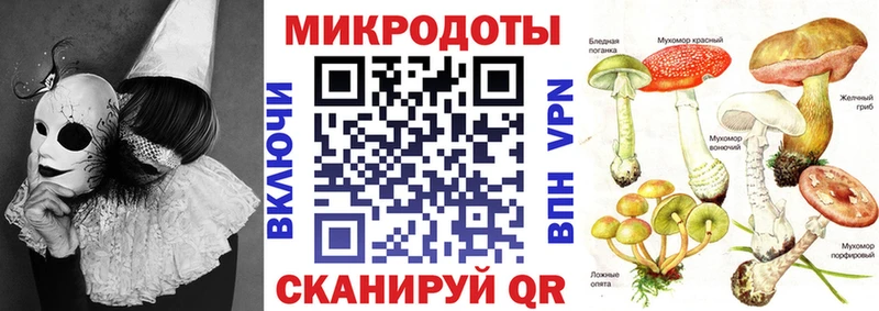 Псилоцибиновые грибы Cubensis Руза